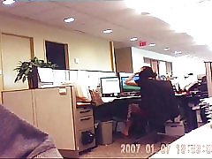 Escritório de negócios analista milf upskirt