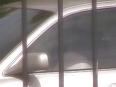 Garotas só querem se divertir